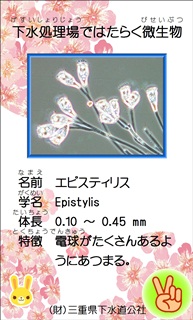image008