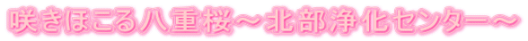 炫ق锪d`k򉻃Z^[`