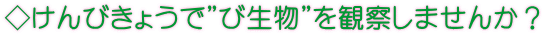 ◇けんびきょうで”び生物”を観察しませんか？